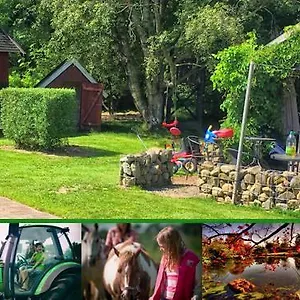 Stutteri Skandihest Agroturismo Billund